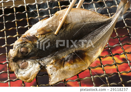 幹馬鯖魚 幹馬鯖魚 29118237