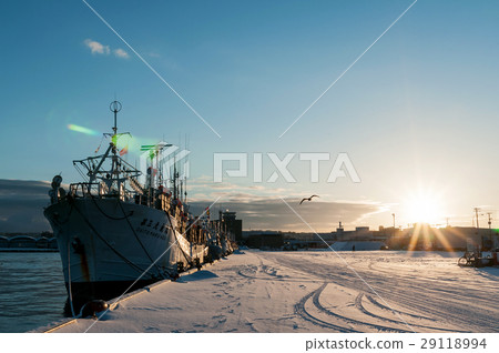 魷魚漁船 29118994
