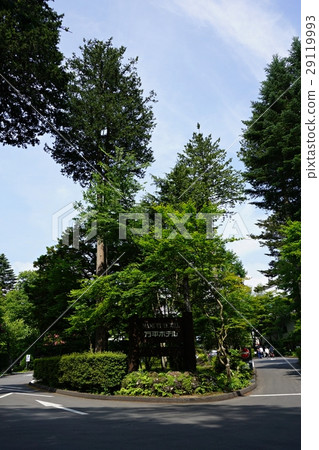 Mihira Hotel in Karuizawa, fresh green 29119993