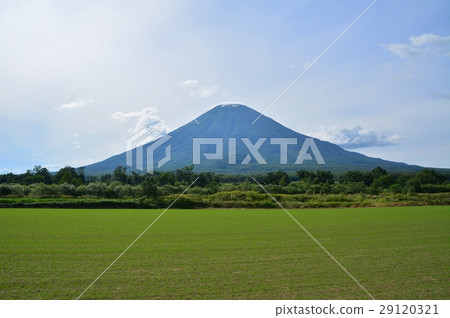 Mount Yotei 29120321