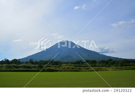 Mount Yotei 29120322