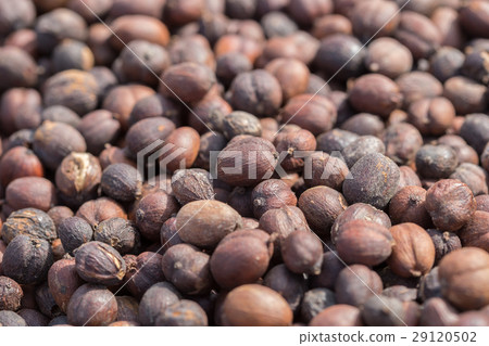 Roasted coffee beans Roasted coffee beans 29120502