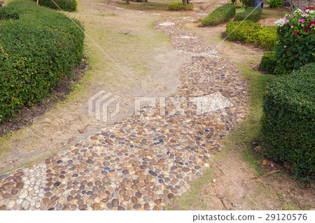 stone walkway in garden 29120576