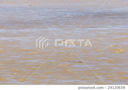 close up water in river 29120639