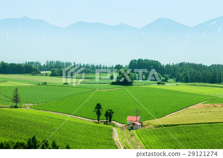 Scenery scared hill red roof house 29121274