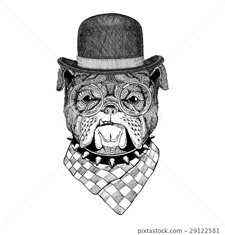 Bulldog Image for tattoo, logo, emblem, badge 29122581