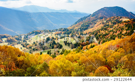 山田牧場的隕落 29122644