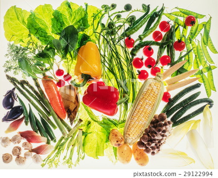 Fresh image 29122994