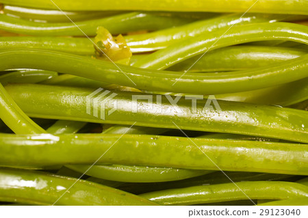 Wakame stem 29123040