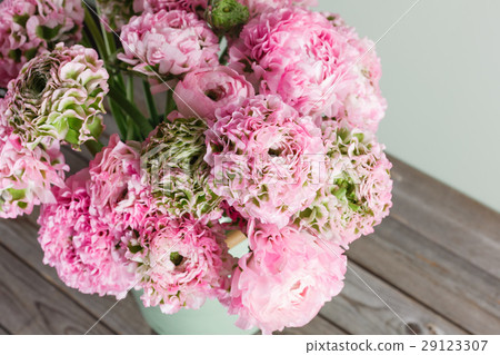 pink persian buttercup flowers. Curly peony 29123307