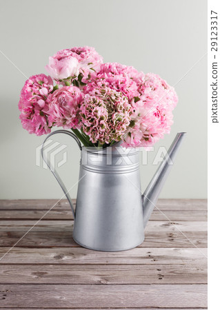 pink persian buttercup flowers. Curly peony 29123317