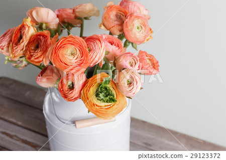 Orange and yellow persian buttercup flowers Orange and yellow persian buttercup flowers 29123372