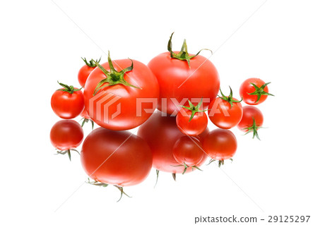Tomatoes with reflection on white background Tomatoes with reflection on white background 29125297
