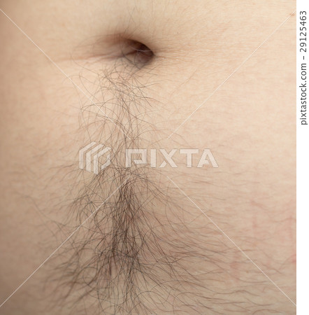 Male hairs belly, bellybutton 29125463