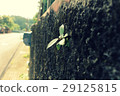 Wall stitching survival 29125815