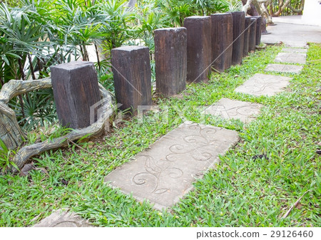 Stone walkway in the park  29126460
