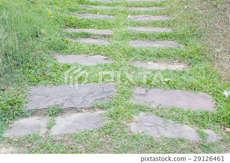 Stone walkway in the grass. 29126461