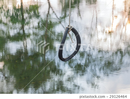 Tire swing hanging from a tree 29126464