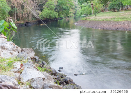River in the Jungle. Small river in forest 29126466