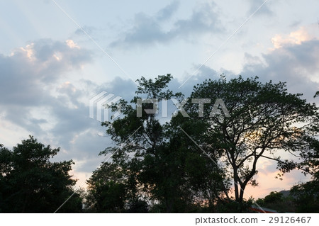 twilight sky and garden silhouette at sunset 29126467