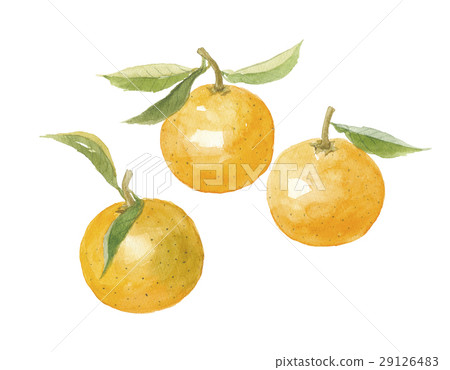 Orange dyed 29126483