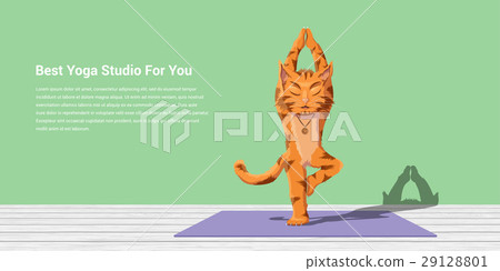 cat practice yoga 29128801
