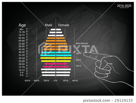 Hand Pointing 2016-2020 Population Pyramids Graphs 29129133