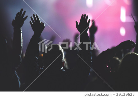 Rear view of crowd enjoying during concert 29129623