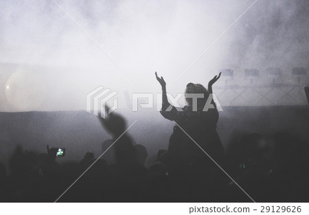 Rear view of crowd enjoying a concert 29129626