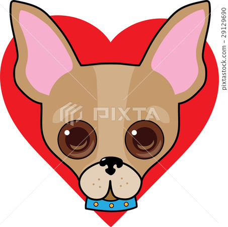 Chihuahua Face Chihuahua Face 29129690