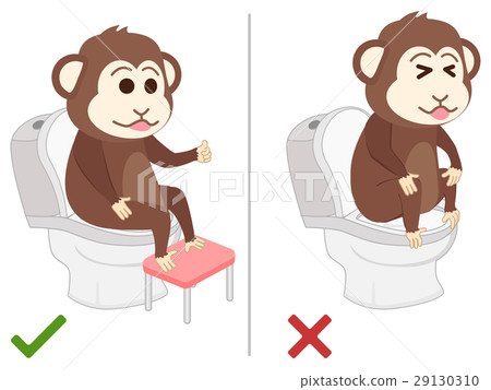 Monkey feel good and bad practice in use toilet. 29130310