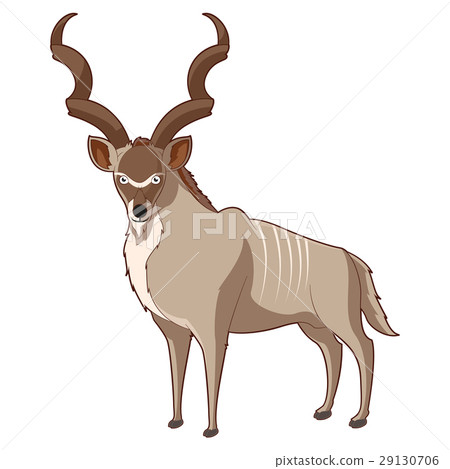 Cartoon smiling Kudu 29130706