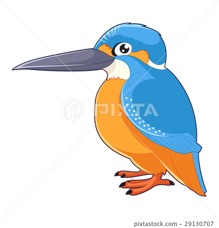 Cartoon smiling Kingfisher 29130707