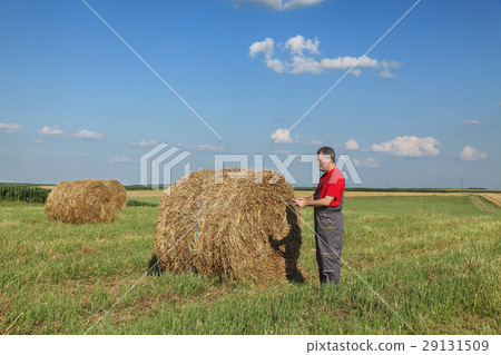 Farmer and bale of hay in field Farmer and bale of hay in field 29131509
