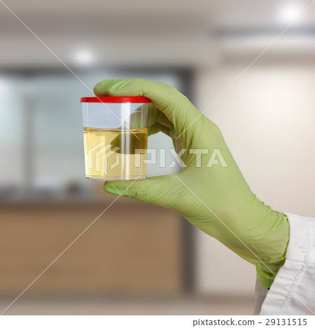 Doctor hold urine sample Doctor hold urine sample 29131515