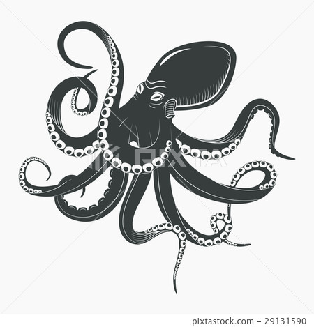 Ocean octopus or underwater squid Ocean octopus or underwater squid 29131590