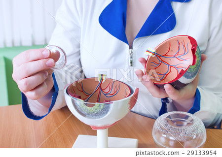 Ophthalmology oculus sample closeup 29133954