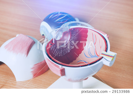 Ophthalmology oculus sample closeup 29133986