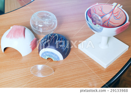 Ophthalmology oculus sample closeup 29133988