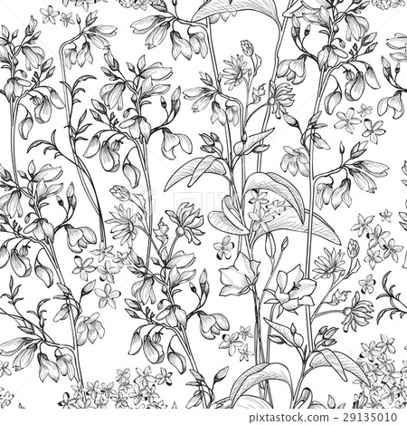 Floral seamless pattern. Flower background. Spring Floral seamless pattern. Flower background. Spring 29135010