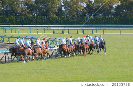 Horse racing predecessor 29135758