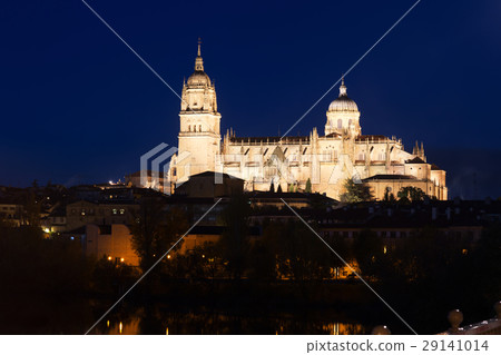 Salamanca Cathedral in night Salamanca Cathedral in night 29141014