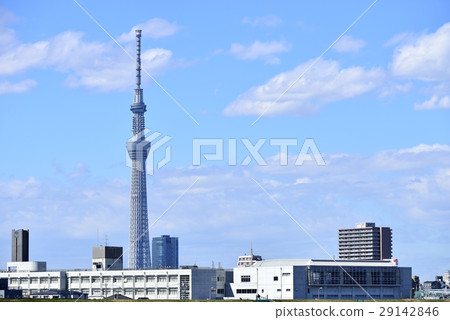 東京城市風景東京天空樹 東京城市風景東京天空樹 29142846