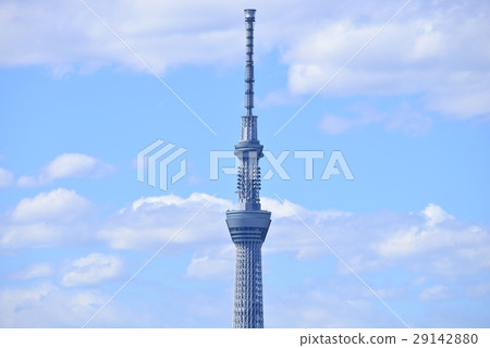 東京城市風景東京天空樹 29142880