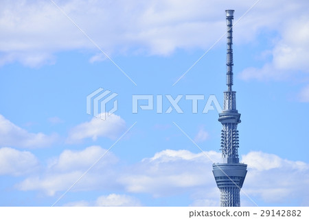 東京城市風景東京天空樹 29142882