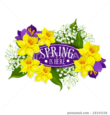 Spring holiday vector poster of daffodils bouquet Spring holiday vector poster of daffodils bouquet 29143556