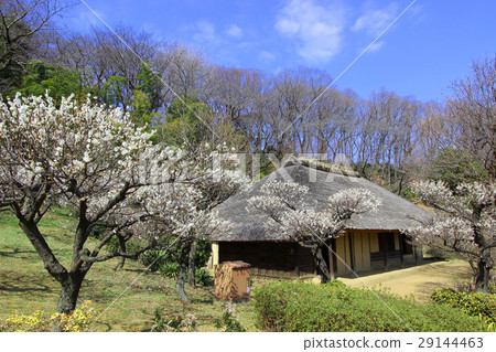 Yakushiya Park Old Nagai family 29144463