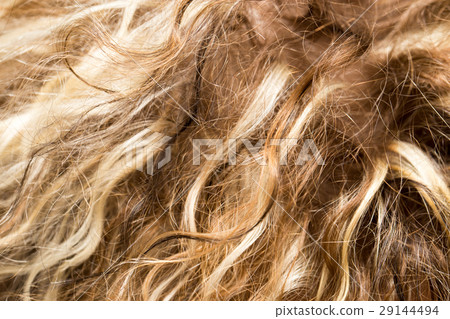 background Hair 29144494