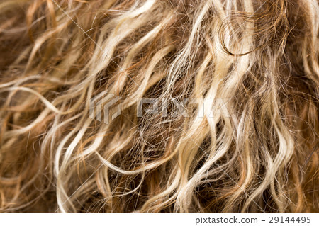 background Hair 29144495