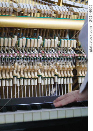 Piano tuning 29144602